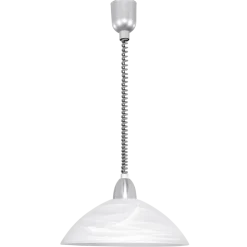 EGLO 1-flg Pendelleuchte Lord2