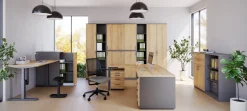 Rollcontainer E10 Hickory Grau