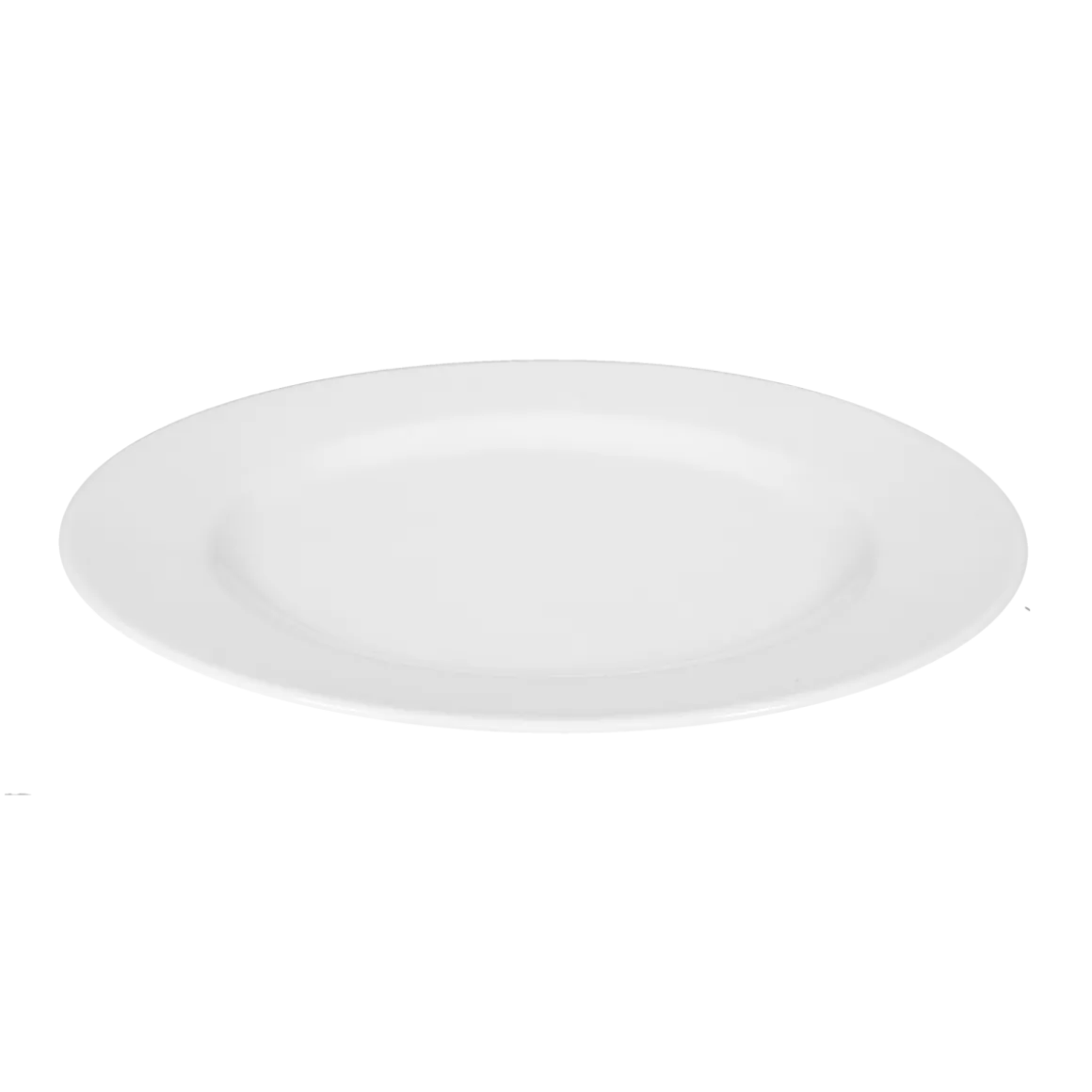 Seltmann Weiden Speiseteller Rondo 25 cm